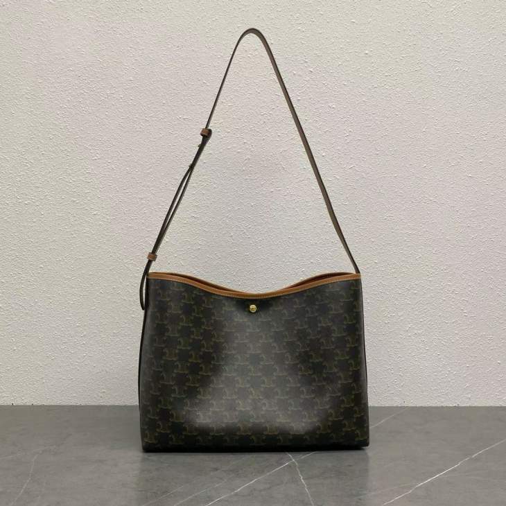 Picture of Celine Handbags _SKUfw230110348fw